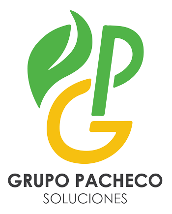 Grupo Pacheco Soluciones